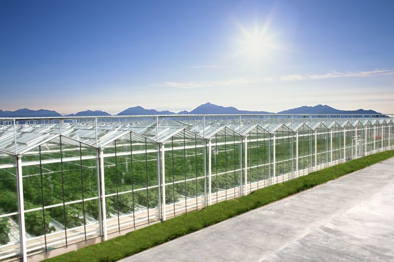 Intelligent Greenhouse Solution